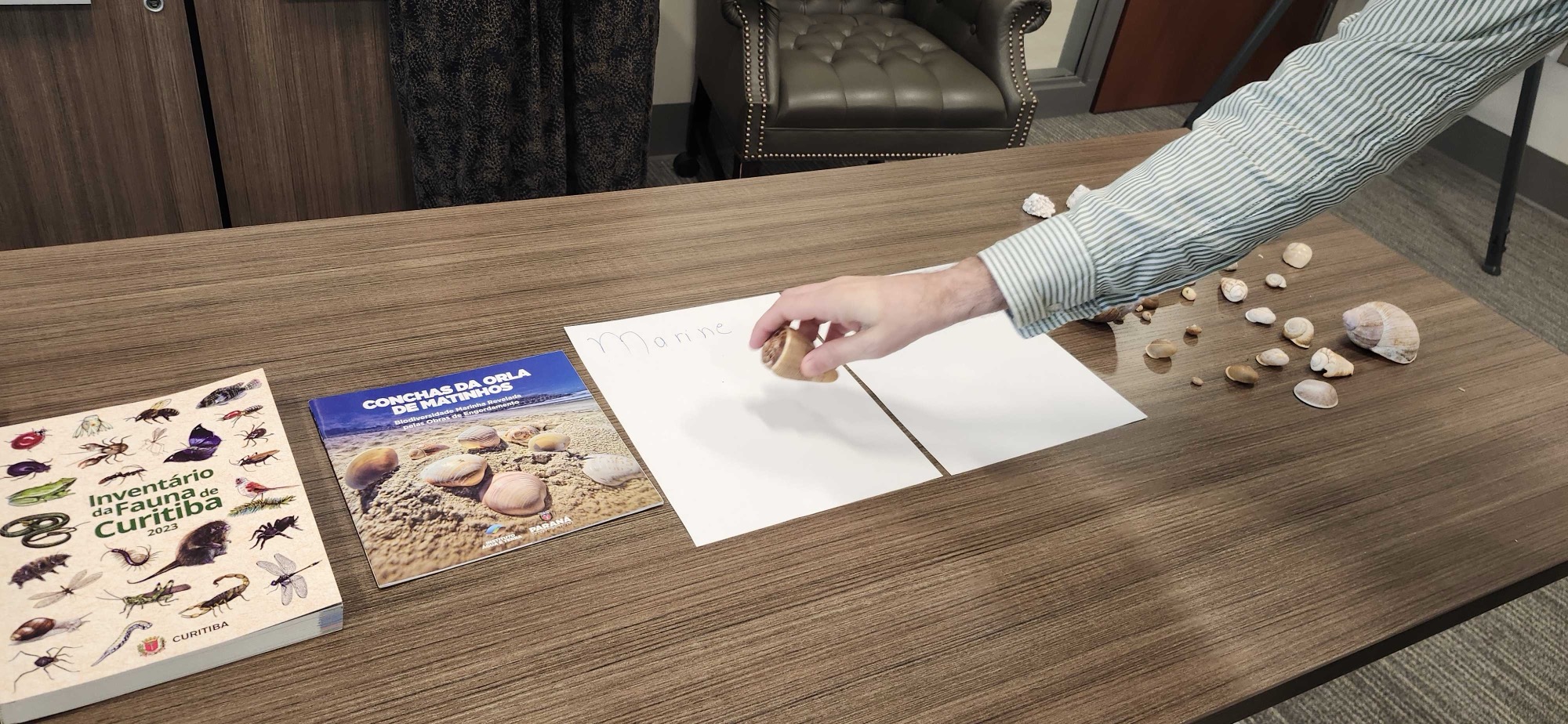 The sorting puzzle. Visitors placed each shell on the marine sheet or the land sheet and then defended the choice.